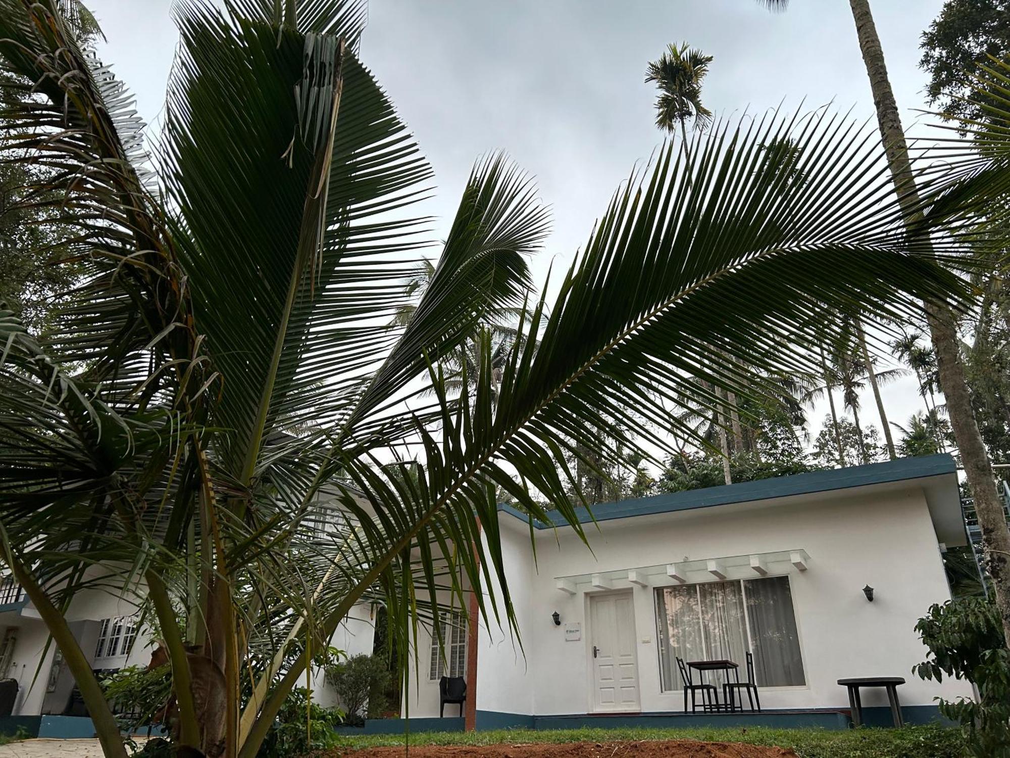 Silver Oak By Exuberance Stays Wayanad Extérieur photo